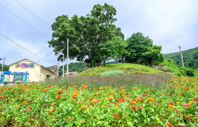 남해군, 주민이 행복한 마을만들기‘설천면 용강마을’주목