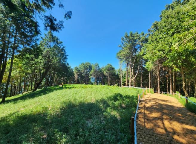 통영시, 이순신공원 내 산림공원 조성 완료