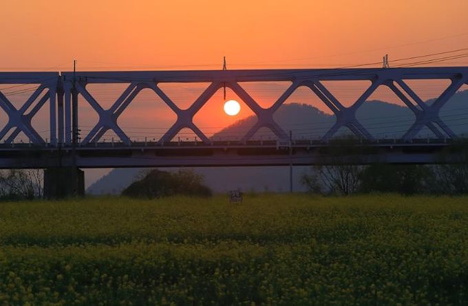 김해낙동강레일파크 낙동강 낙조모습(왕의 노을)