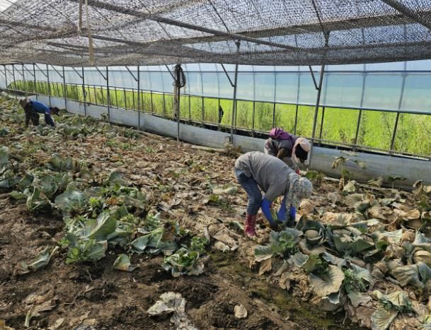 합천군 먹거리통합지원센터 기획생산농가 재해복구 지원