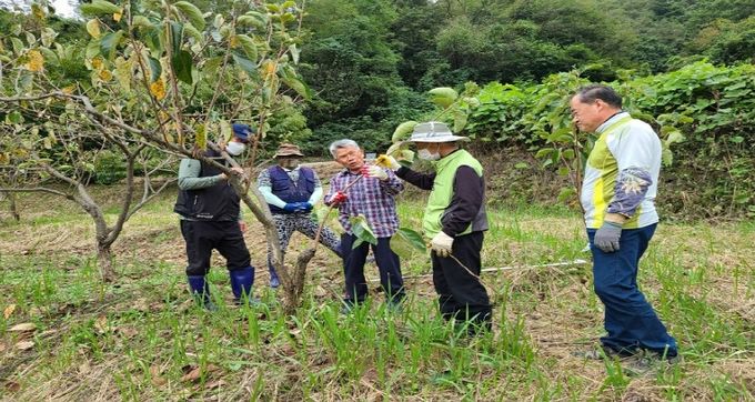 (농촌에서 살아보기 참가자 모집