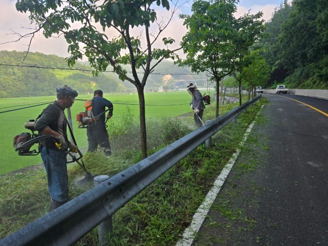 합천군 대양면 안금리 청년회, 마을 환경정화