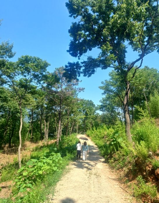 자연 그대로 “걷기 좋은 숲길”로 재탄생