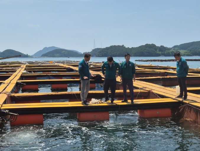 고수온 피해 대응에 행정력 집중