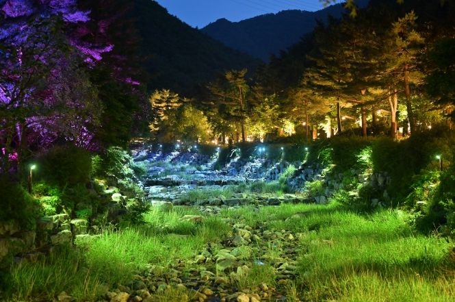 강릉솔향수목원