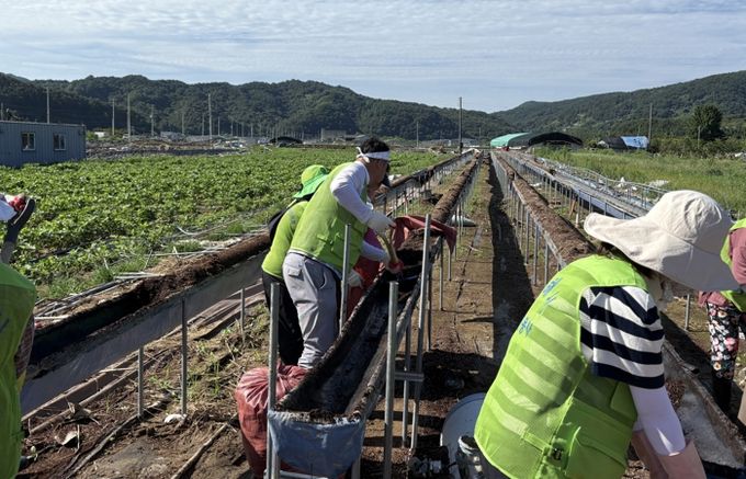 창원시종합자원봉사센터, 자원봉사자들과 산청군 수해 복구에 힘 보태