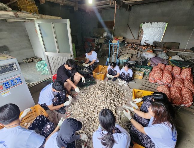 환경정화 및 농촌일손돕기