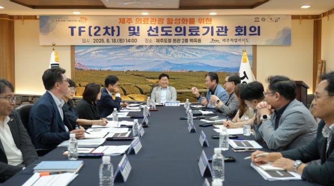 의료관광 활성화를 위한 TF 및 선도 의료기관 회의