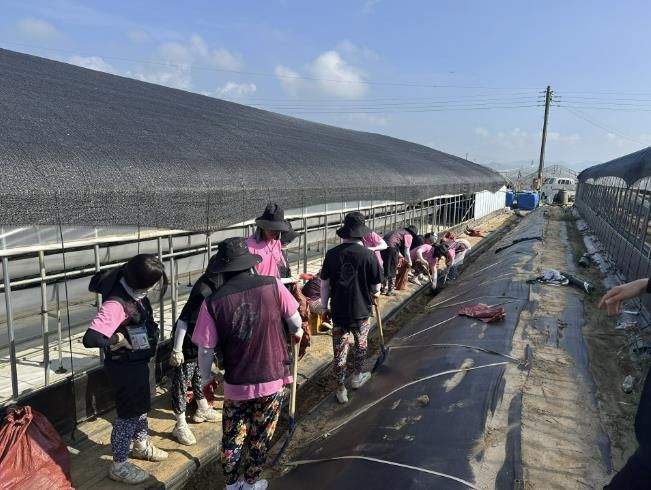 국립한밭대학교, 남해군 볼런투어 일환 다양한 봉사활동