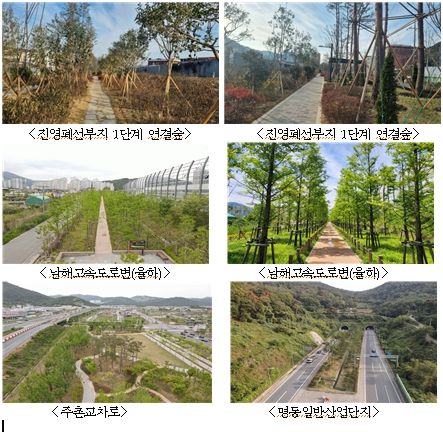 시민 체감 숲의 공익적 기능 극대화