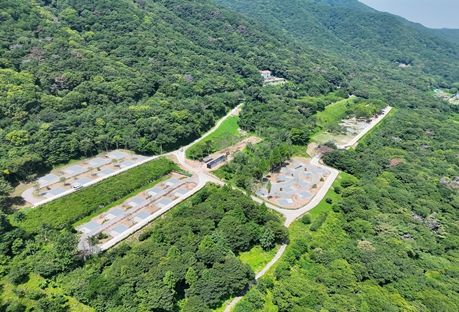 공립 김해 숲속야영장 조성 모습