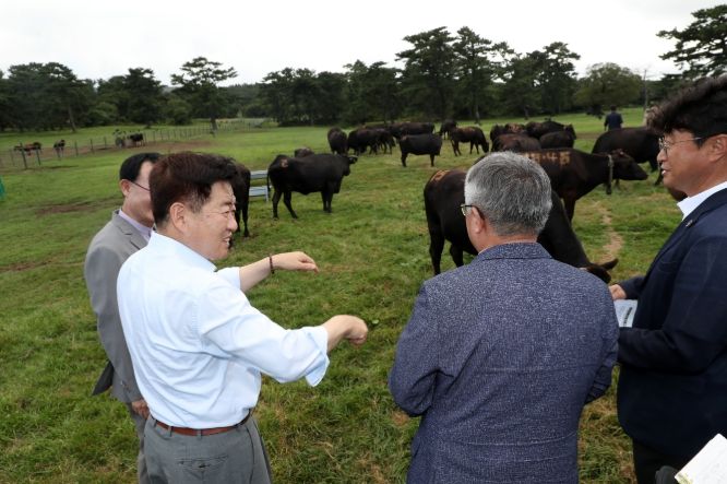 제주흑우 생산 및 연구개발 관련 현장 방문한 오영훈 지사