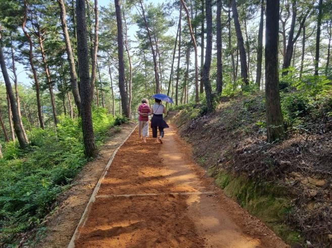 진주시, 진양호 숲기운 담은 ‘맨발길’ 조성