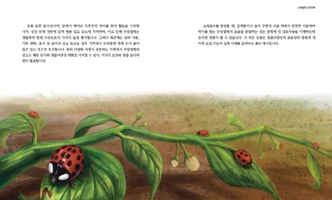 제25회 소래포구 축제 기념‘소래생태 스토리북’발간