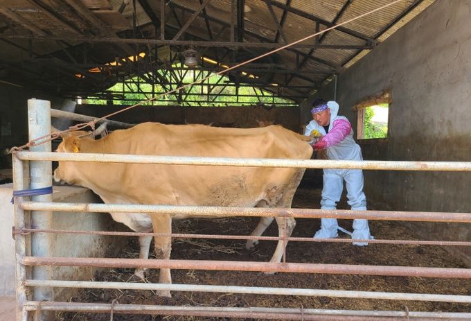 가축 무료 순회진료 실시