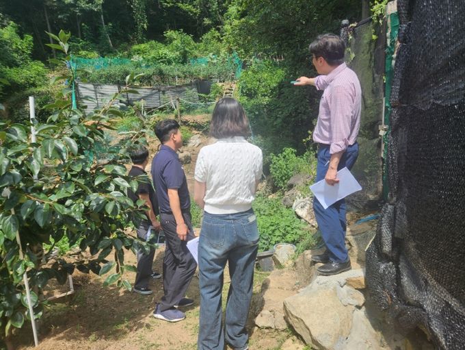 개발제한구역 관리실태 특별점검