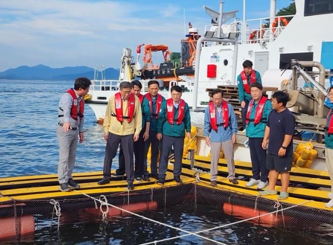 해수부, 통영시 적조 현장 방문 및 대응 상황 점검