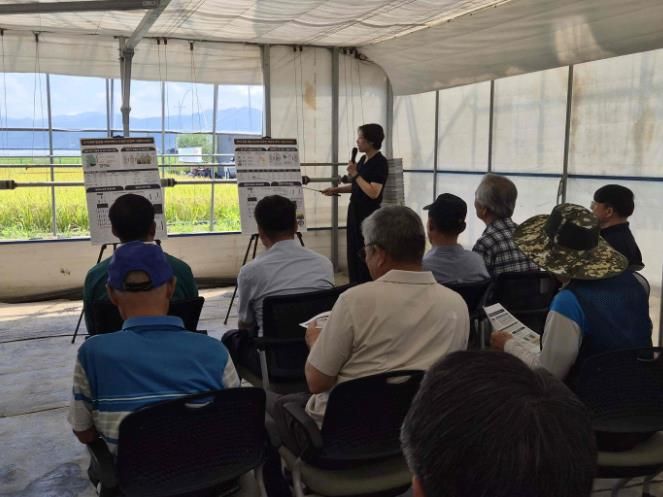 3일 밀양시농업기술센터 벼 시험포장에서 맞춤형 벼 품종개발을 위한 현장 연시회가 진행되고 있다.