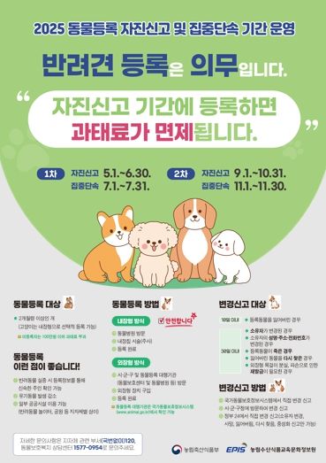 거제시, 반려동물 등록 자진신고 기간 운영