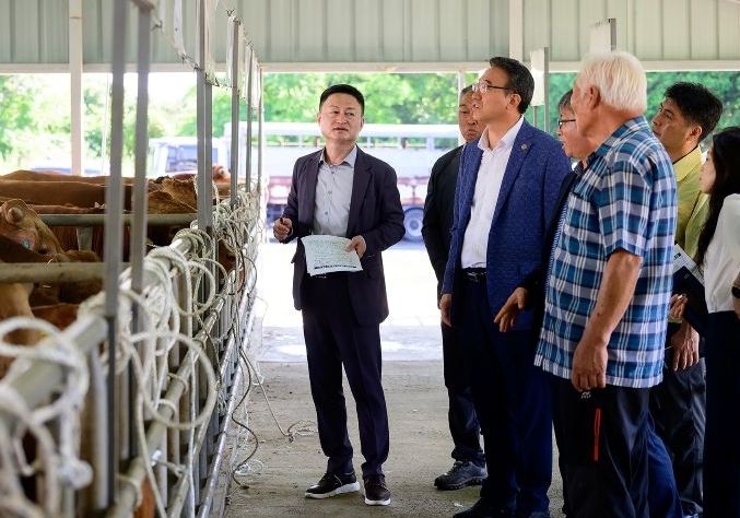 서귀포시 가축시장 방문한 오순문 시장