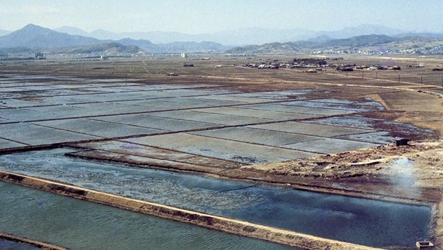 울산 남구, 경남권 유일 2026년 무형유산 전승공동체 활성화 공모사업 선정