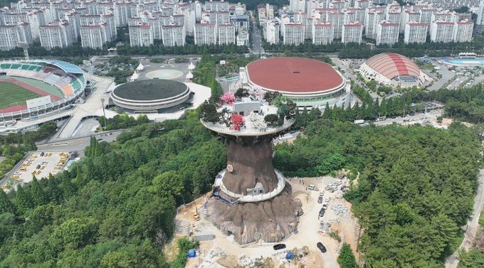 창원특례시,‘빅트리’임시개방.