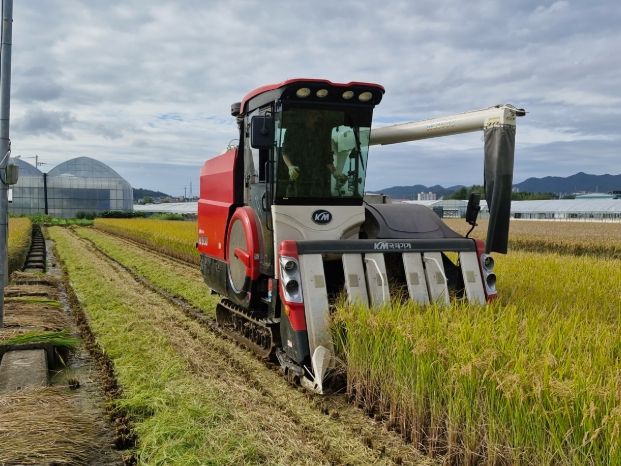 고성군, 벼 예찰답 수확