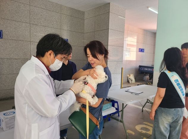 울산 남구, 2025년도 하반기 광견병 예방접종 실시