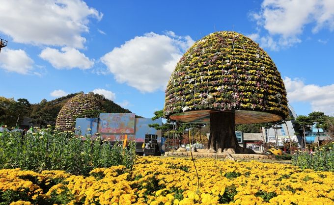 함평군, 인플루언서 초청 ‘2025 함평 관광 팸투어’ 개최
