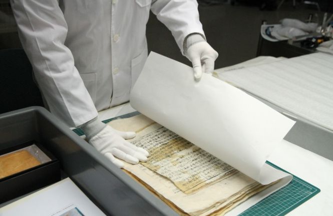 무료 훈증소독 사진 및 서비스