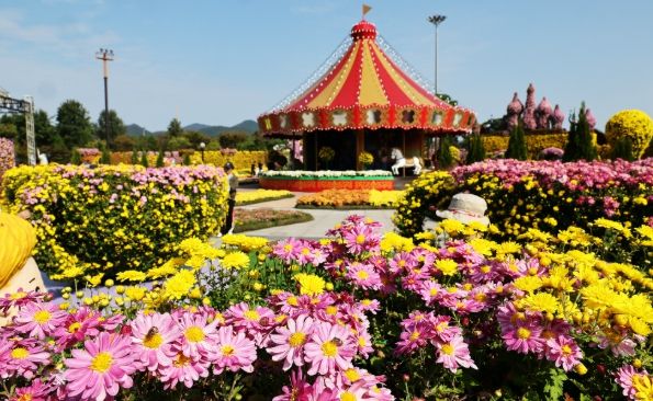 겨울빛축제 포스터, 2025 대한민국 국향대전 전경