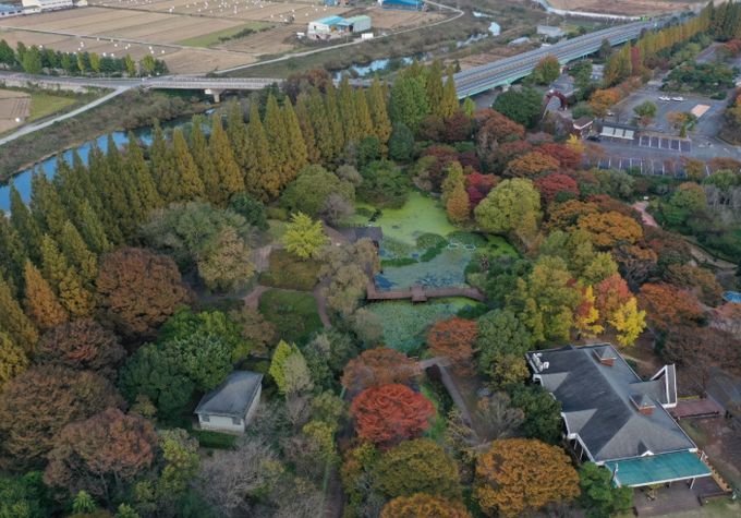 경상남도수목원