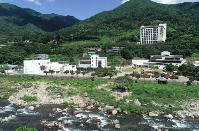 세계로 번지는 하동차(茶)의 가능성