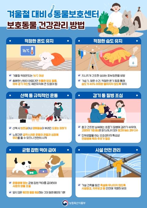 '겨울철 대비 동물보호센터 보호동물 건강관리 방법' 안내 포스터