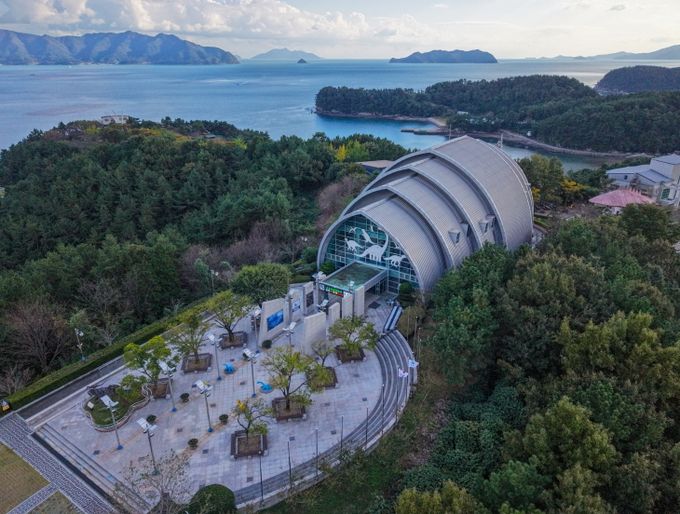 고성군 2026년 고성공룡박물관 휴관