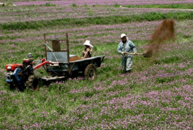 유기농업자재 사진