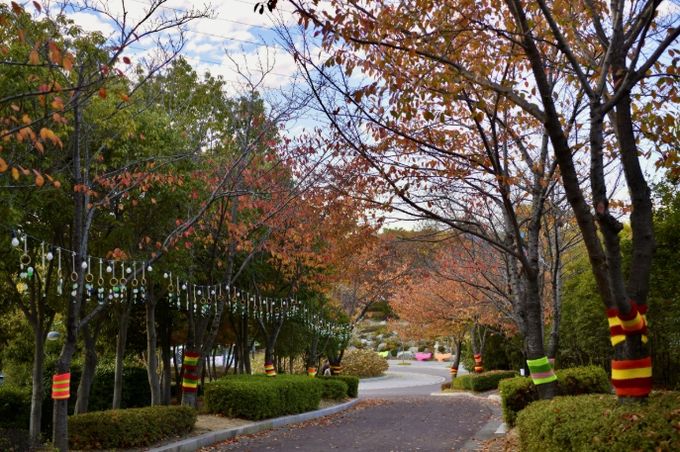 고래문화마을에서 트리니팅 활동