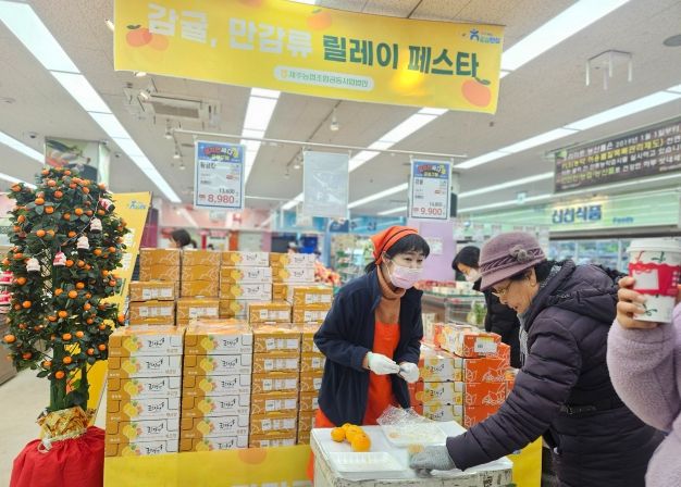 감귤 직거래 릴레이 페스타
