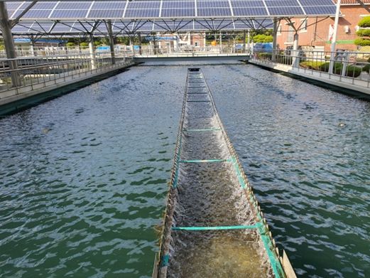 수면파동설비 현장