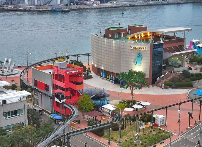 장생포고래박물관