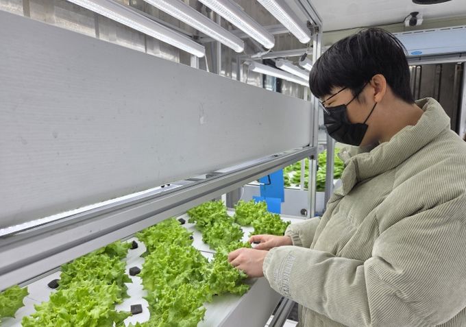 장애학생 직업교육 모습(스마트팜 관리, 도서관 사서 보조