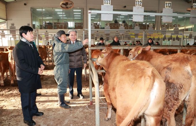 의령군, 올해 첫 등록우 경매시장 현장 점검