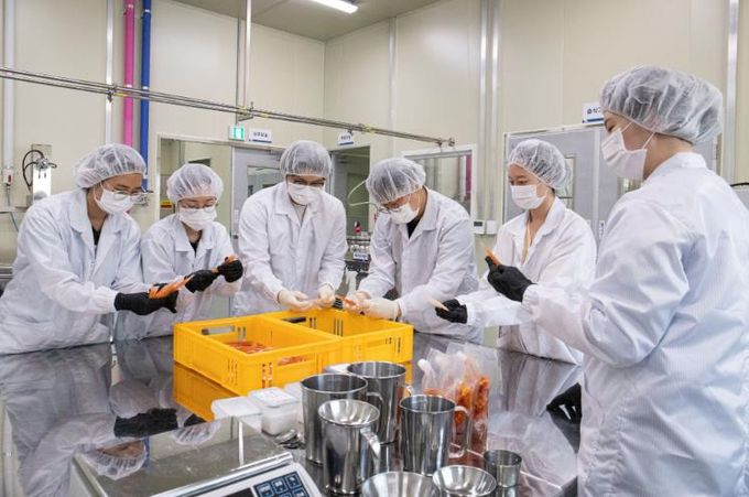 보성군, 농산물종합가공센터 식품 제조형 공유 주방 설명회 개최_2025년 농산물가공 상품개발 사진(스틱젤리)