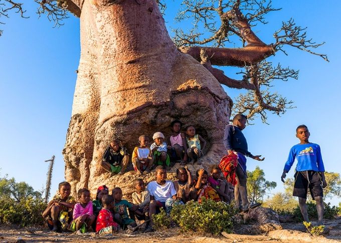 서정철 사진작가, 마다가스카르 바오밥 사진전 ⌜神이 된 나무⌟