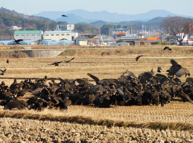 2026년 설 연휴 다양한 관광지로 준비된 고성군