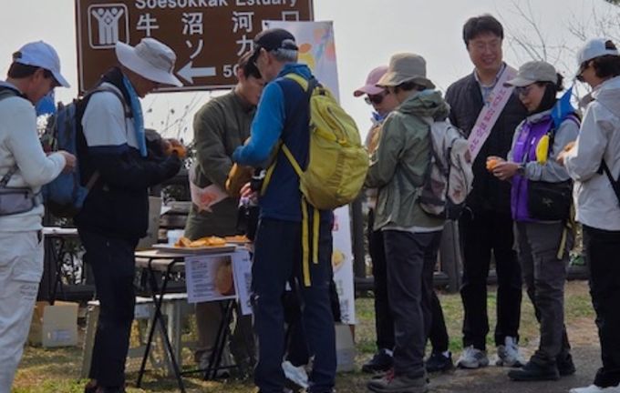 관광객 대상 만감류 소비 촉진 시식 행사