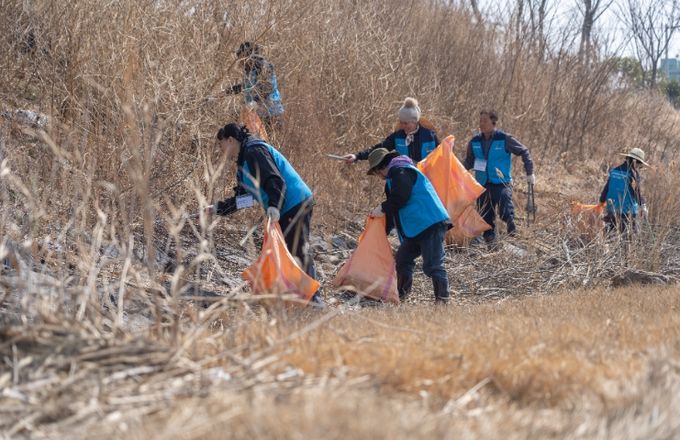 기후위기 대응 ‘블루카본’ 숲 조성 본격 추진