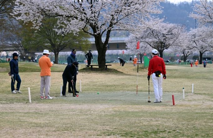 2025년에 밀양파크골프장에서 열린 ‘연합뉴스TV-밀양시 전국 파크골프대회’ 결선 경기 모습