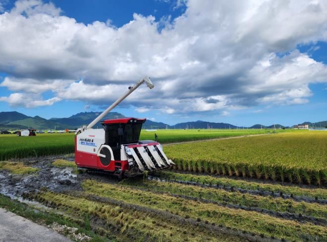 벼 재배농가 사진