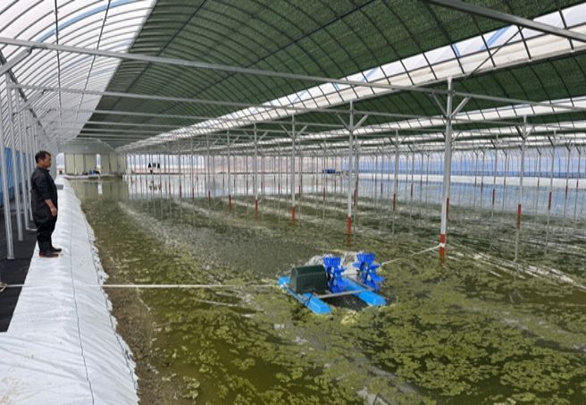 어업인 생산기반(양식장) 조성 현황